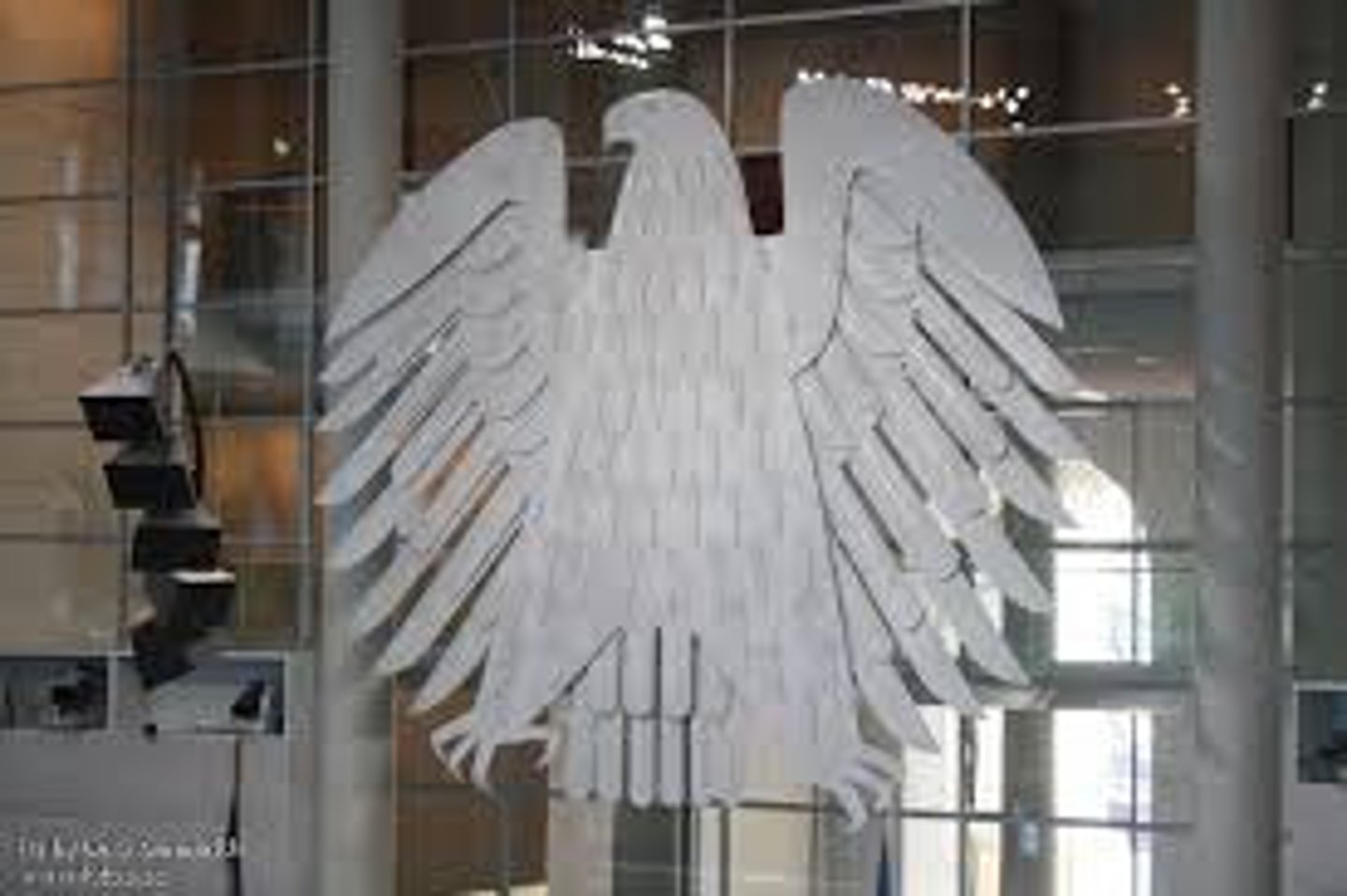 <p>der Adler, die Adler</p>