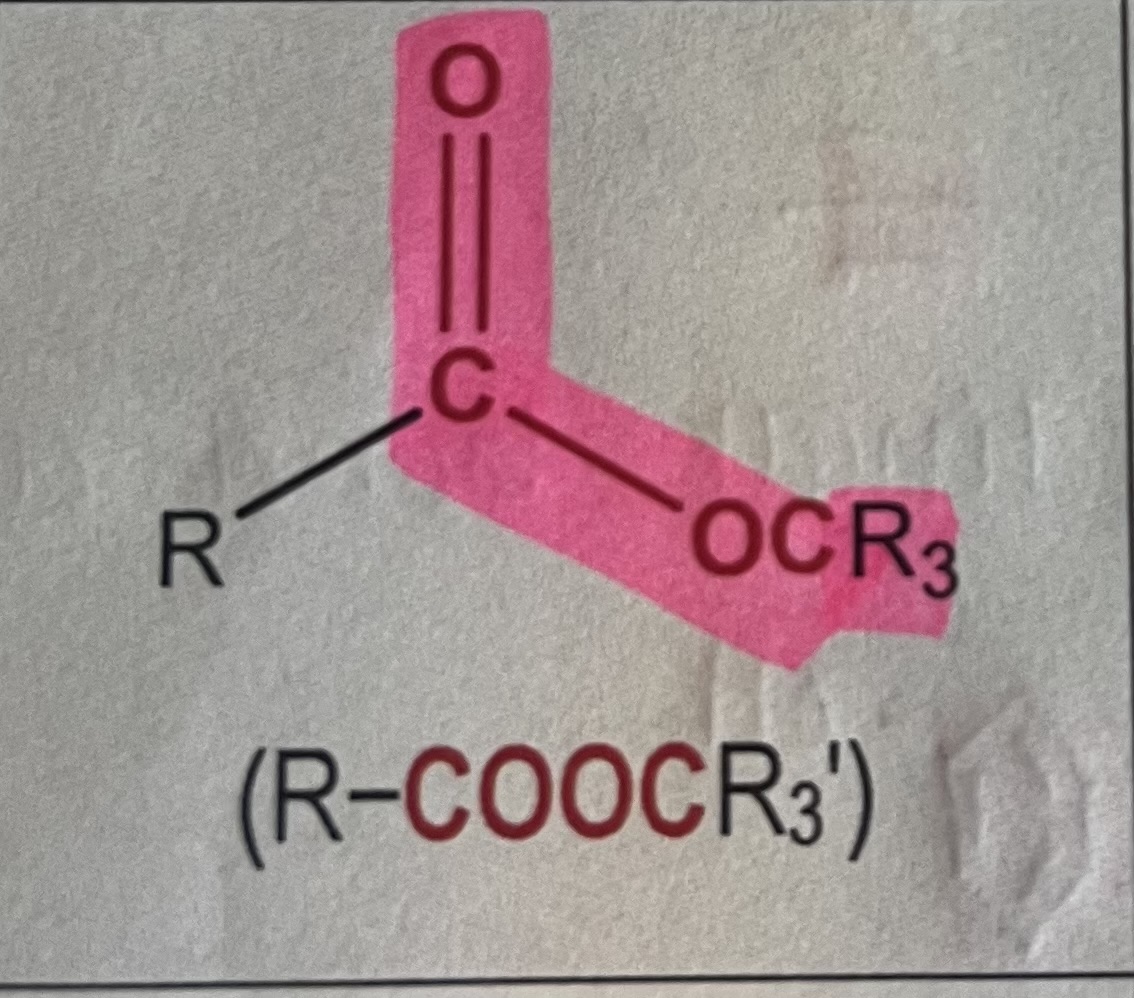 <p>what is shown above</p>