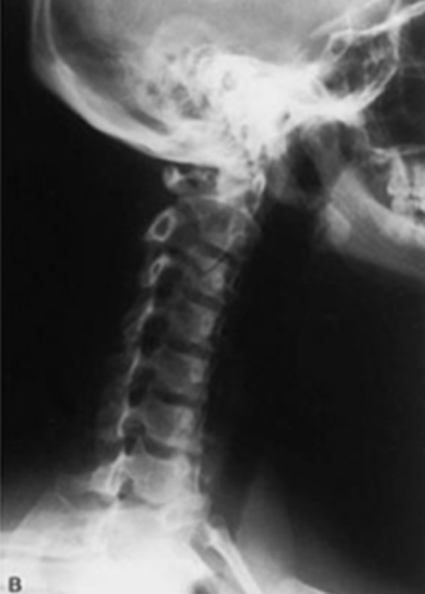 <p>What view is this?</p>