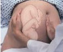 <p><span>determines fetal back and side&nbsp;</span></p>