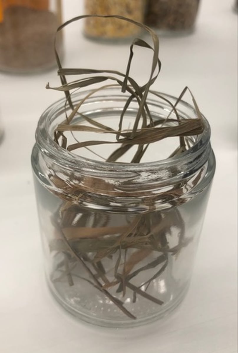 <p>- IFN #/Category (1) dry roughage product</p><p>- AAFCO Category - forage product</p><p>- Feed Type - forage</p>