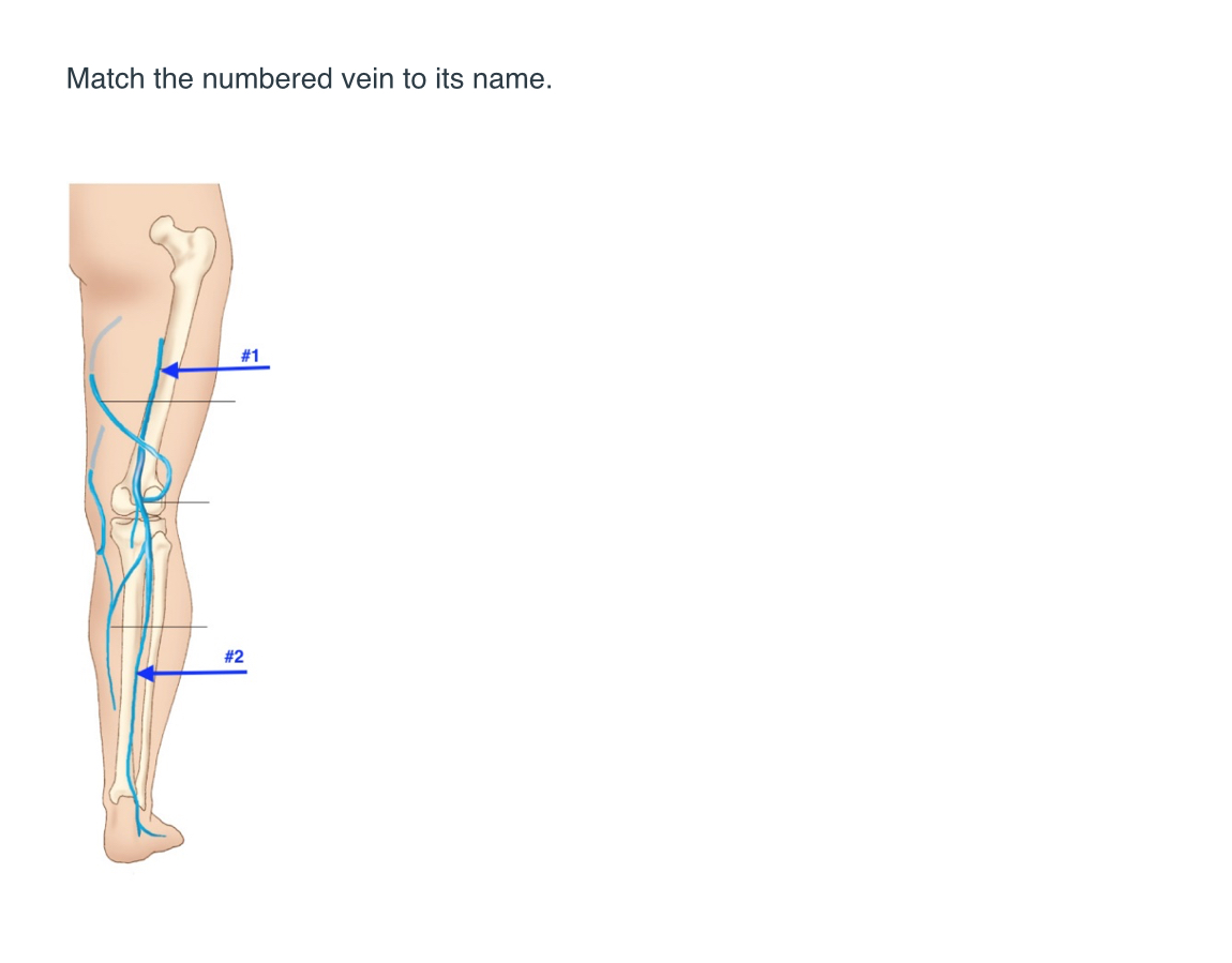 <p>Match name to the number </p>