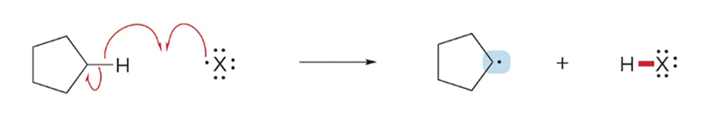 <p><span>H-X and a carbon radical</span></p>