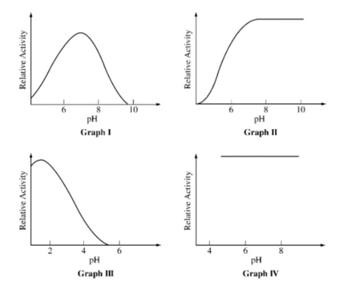<p>Enzymes with their highest activity at an alkaline (basic) pH are represented by which of the following graphs?</p>