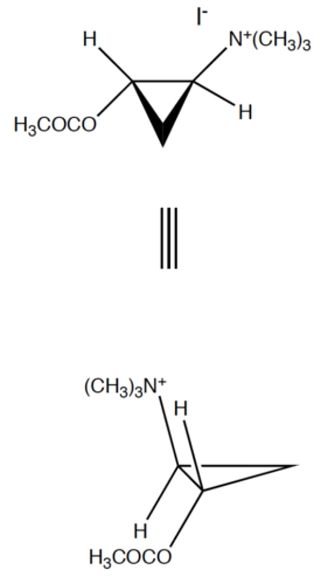 <p>is the cis-ACTM or trans-ACTM more potent at muscarinic receptors?</p>