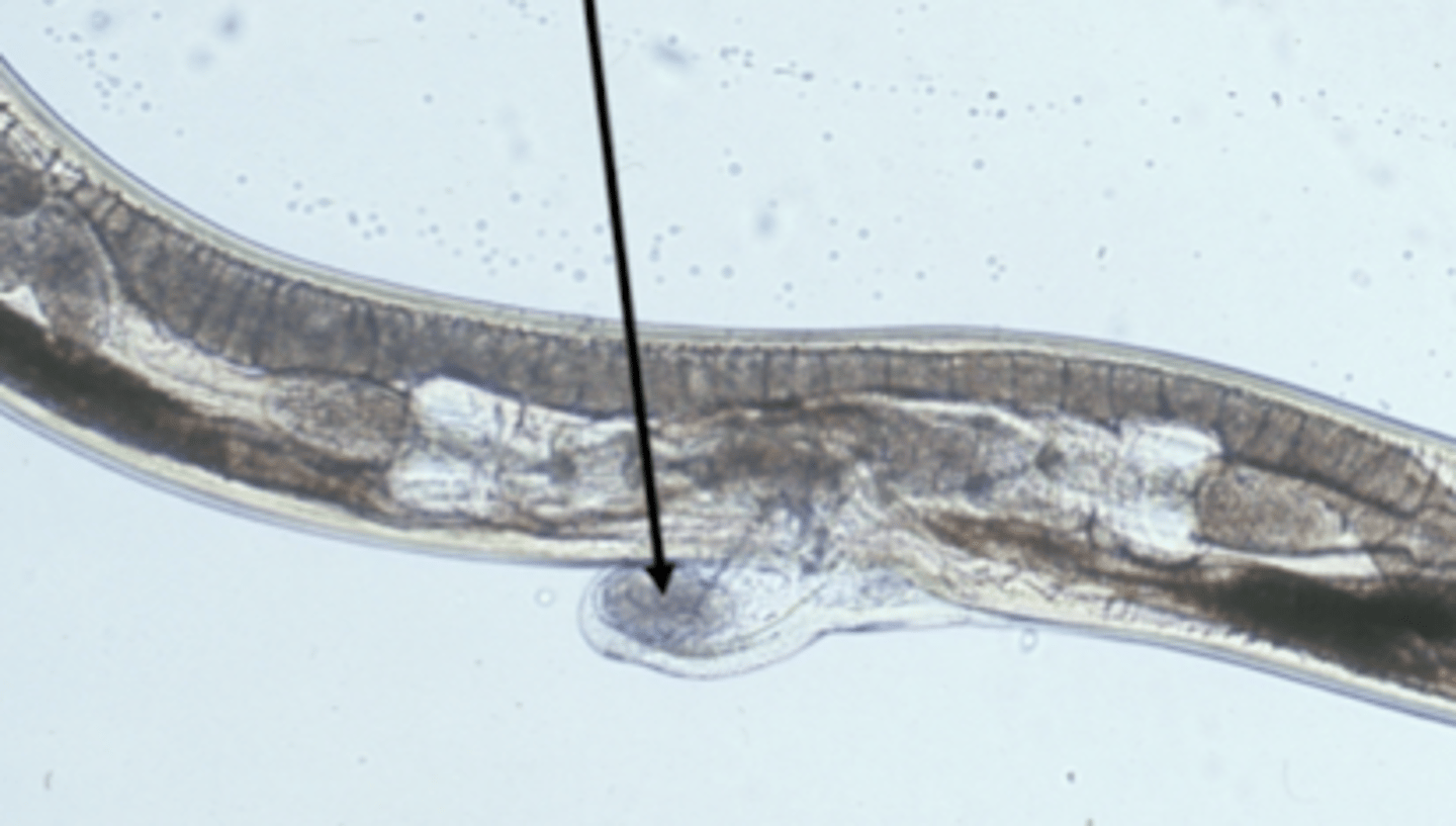 <p>what is the arrow pointing to?</p>