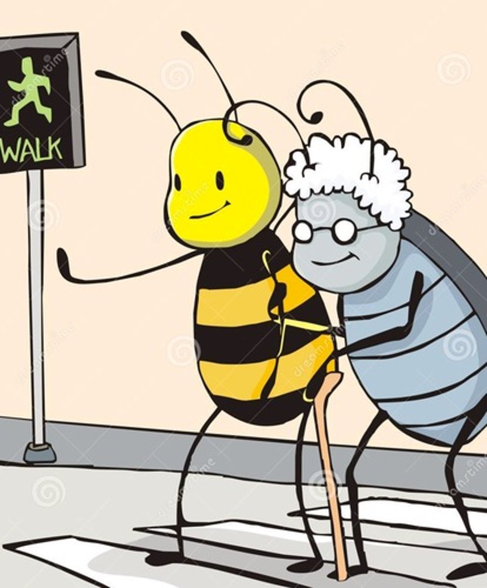 <p>благонамеренный, делающий из лучших побуждений</p>