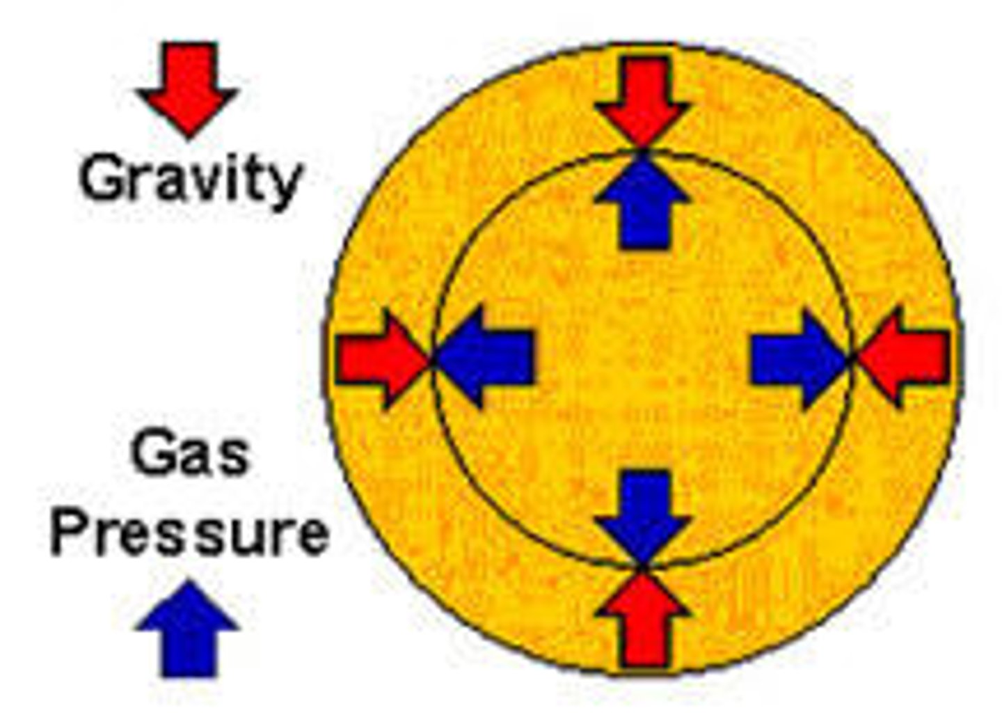 <p>Gravity (pulling in) and nuclear fusion energy (pushing out)</p>
