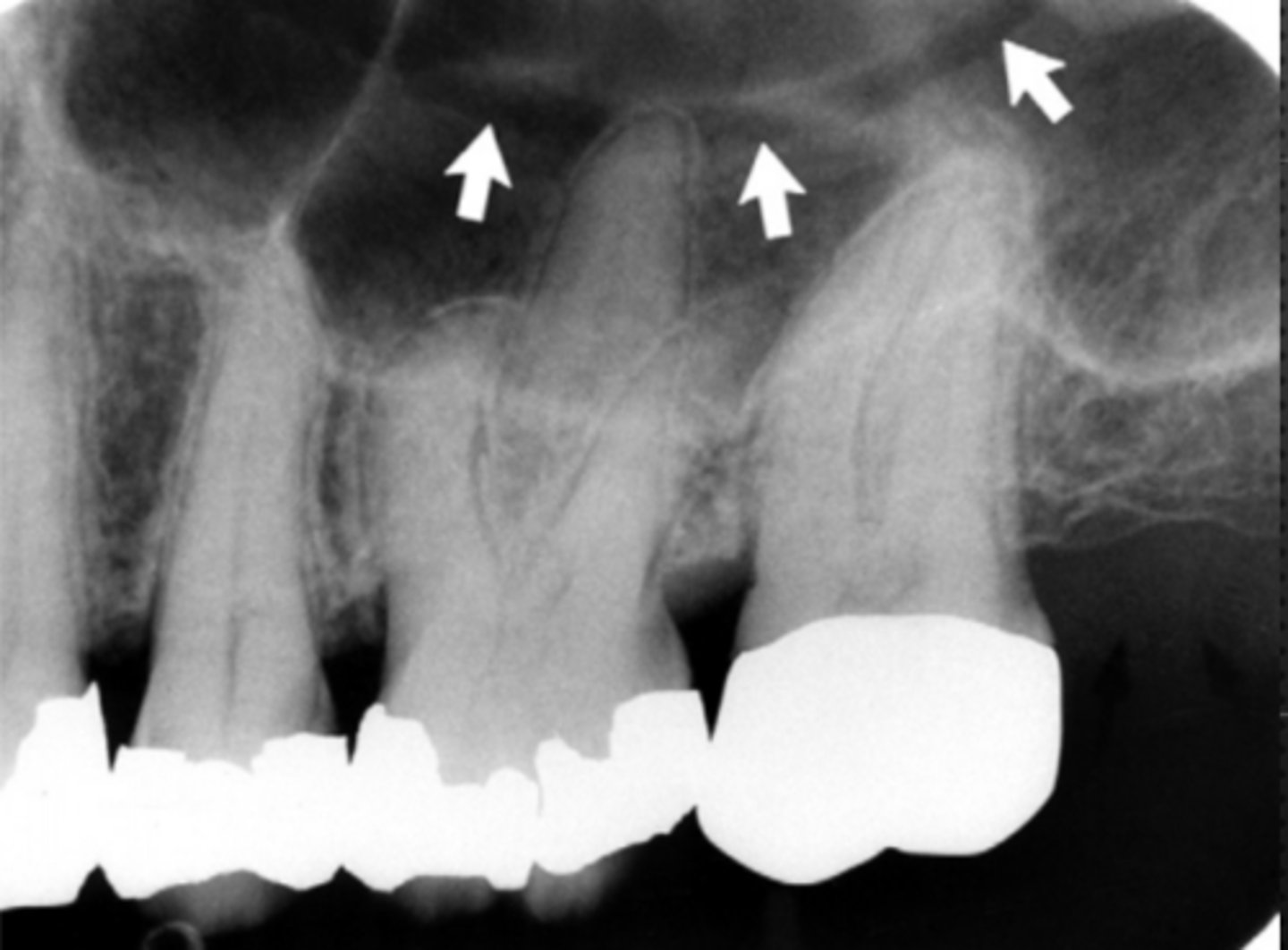 <p>Identify the structure</p>