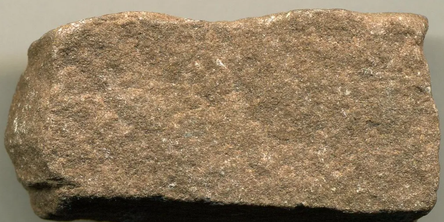 <p><span style="font-family: Cambria, serif; line-height: 115%;">Siltstone </span></p>