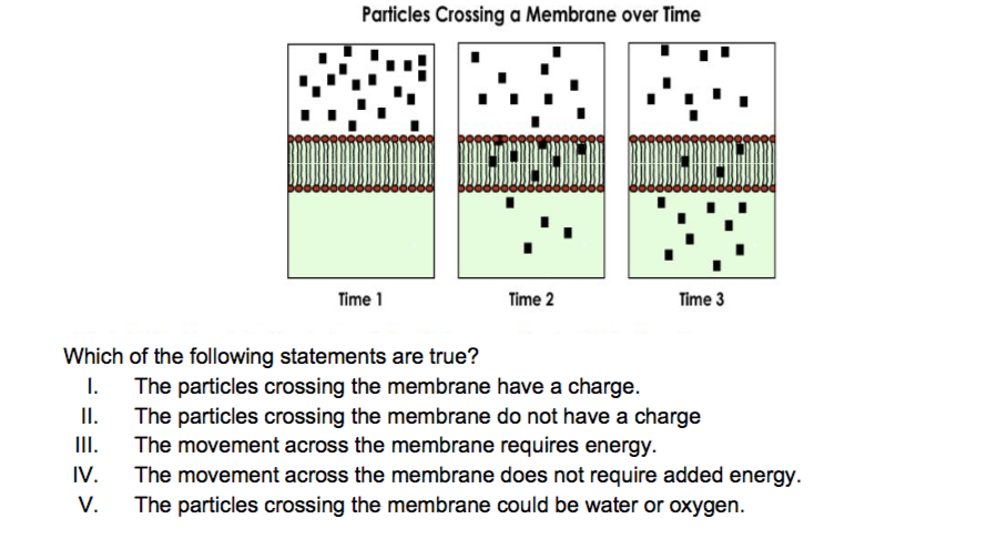 <p>The diagram models the time-lapse movement of particles across a cell membrane.  The particles have characteristics that allow them to pass freely across the membrane.</p>