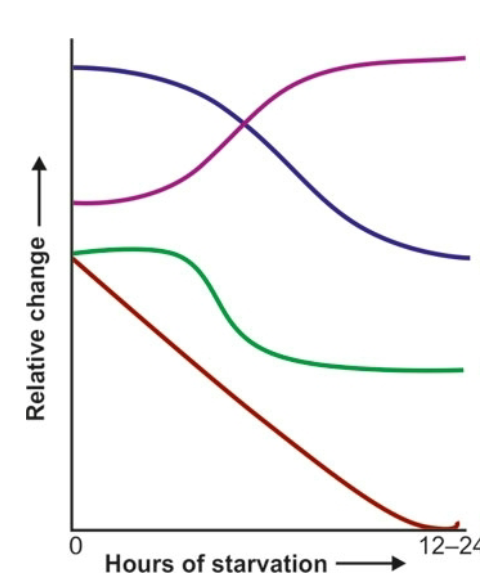 <p>what do each of the curves represent if the x axis going from left to right represents hours of starvatio? </p>