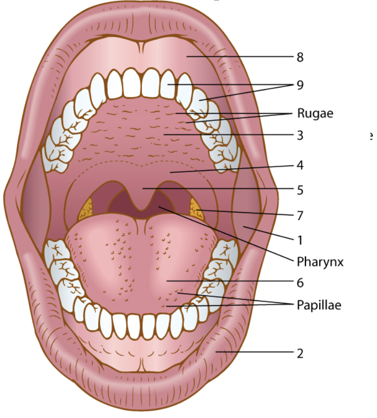 <p>What is number 7</p>