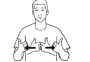 term image