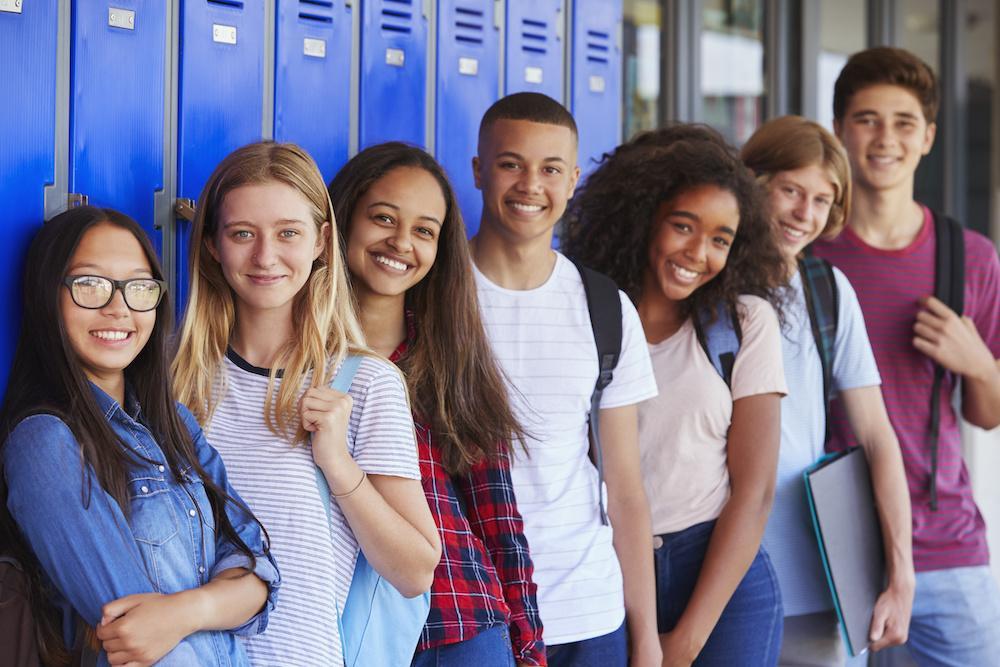 <p><span style="color: green;"><strong>Adolescence (12+ yrs):</strong></span> Overview</p>