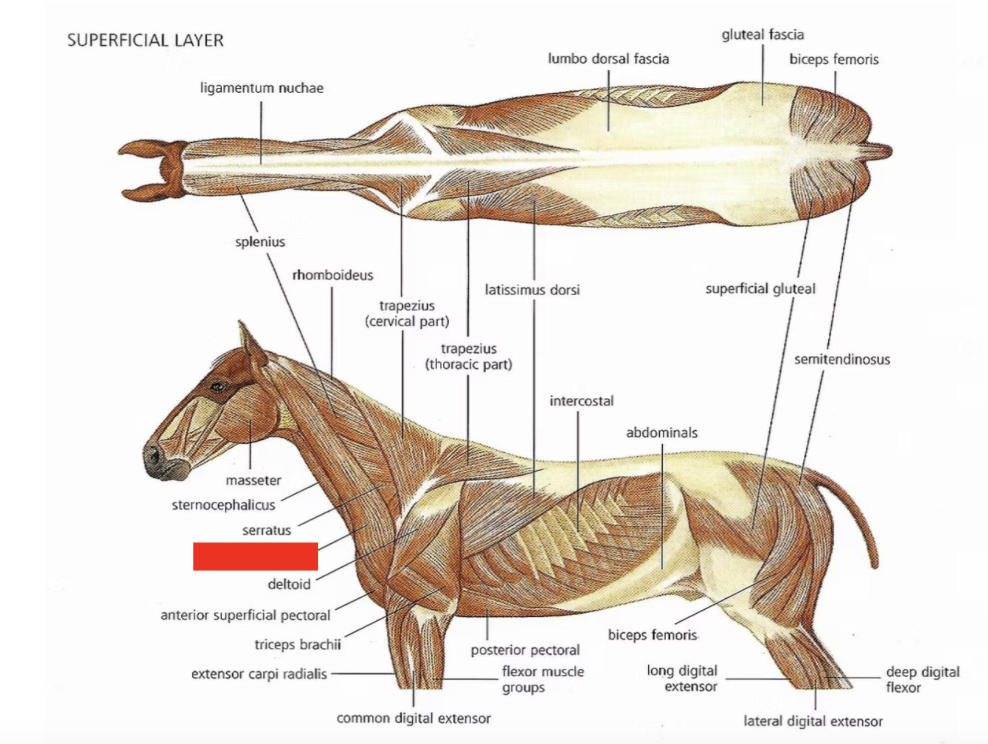 <p>What is this?</p>