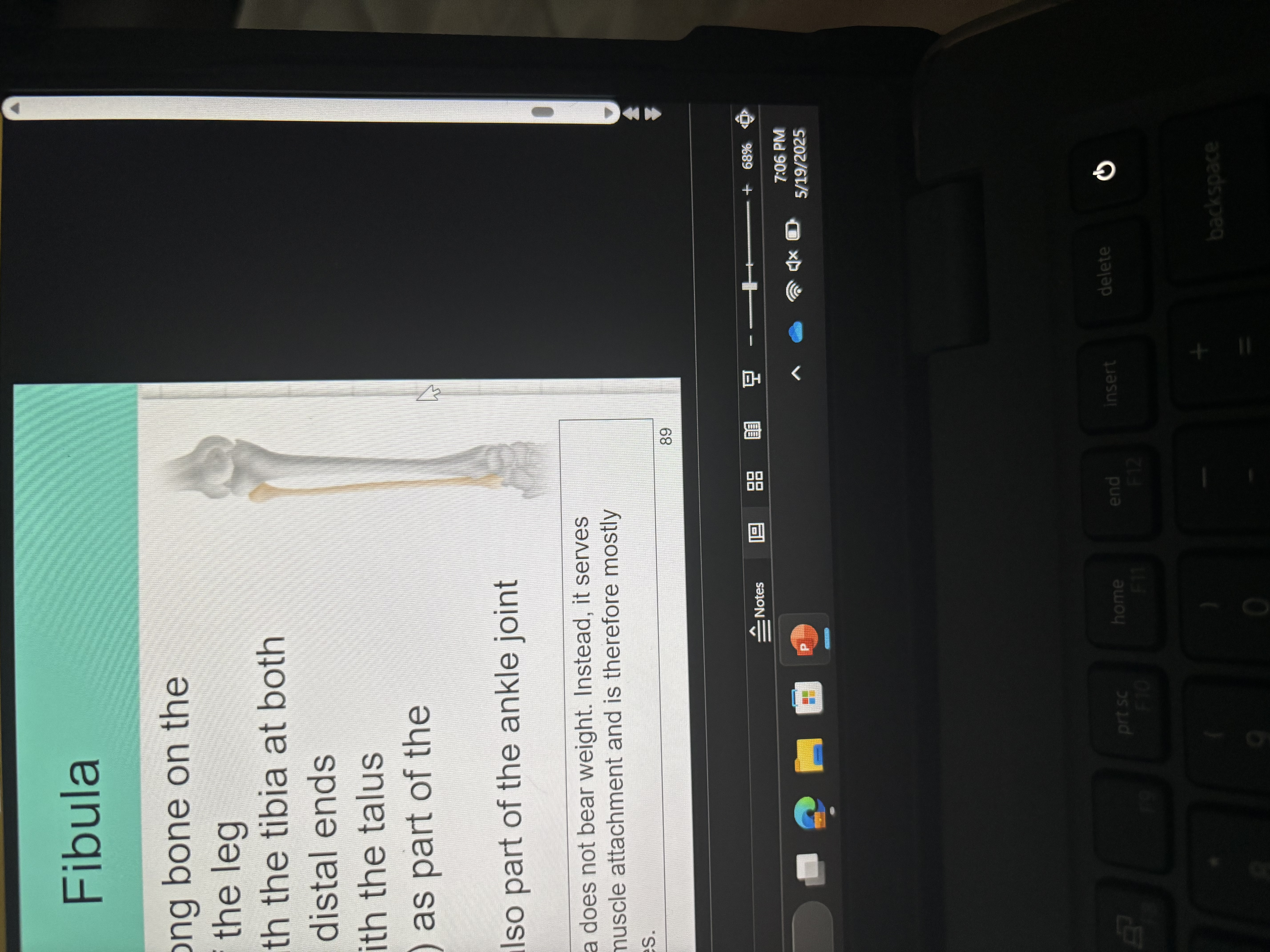 knowt flashcard image
