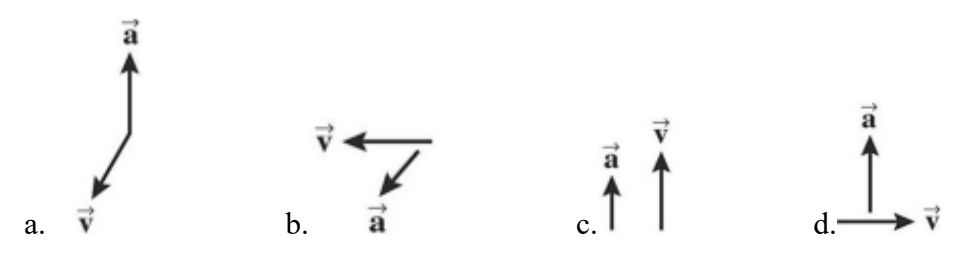 <p>Below are the velocity and acceleration vectors for an object in several different types of motion. In which case is the object’s velocity changing while its speed is not changing?</p>