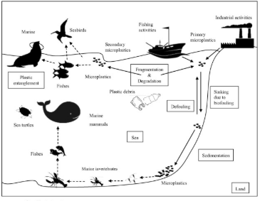 <p><span style="background-color: transparent;"><span>Name an abiotic factor (pictured) in this ecosystem:</span></span></p>