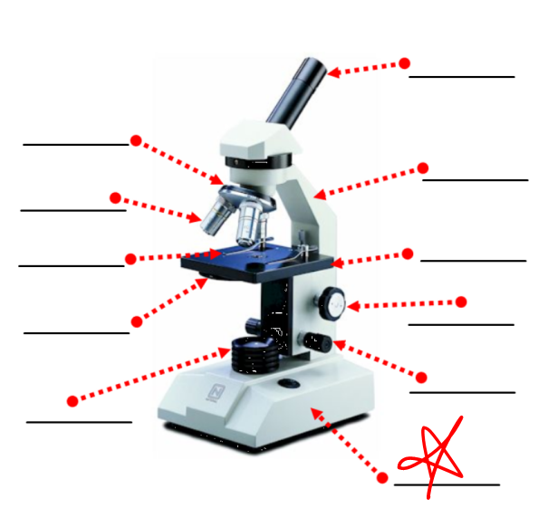 <p>this part of a microscope</p>