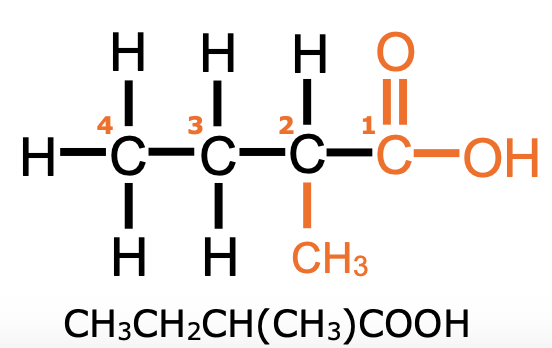 <p>molecules with carboxyl group (-oic acid), <span style="font-family: Verdana">carbon atom double bonded to oxygen (</span><span style="font-family: Verdana">C=O</span><span style="font-family: Verdana">) and single bonded to a </span><span style="font-family: Verdana">hydroxyl</span><strong><span style="font-family: Verdana; color: rgb(255, 102, 0)"> </span></strong><span style="font-family: Verdana">group</span><span style="font-family: Verdana"> (-OH).</span></p>