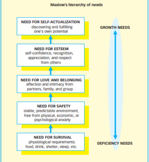 <p>Maslow’s Hierarchy of Needs</p>