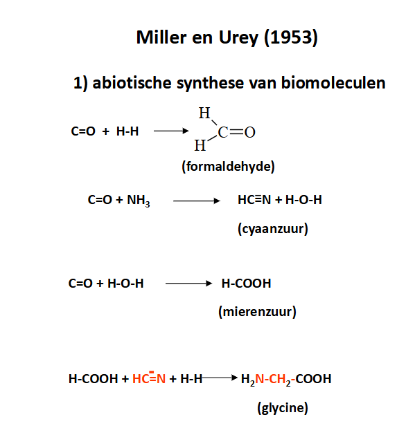 <p>miller urey experiment</p><p>→ suikers kunnen makkelijk afgeleid worden van het eenvoudig molecule <span style="color: blue">formaldehyde</span> dat zelf ontstaat uit C=O en H-H </p><p>→ ook DNA basen, purines en pyrimidines  kunnen van makkelijke moleculen worden afgeleid</p><p></p>