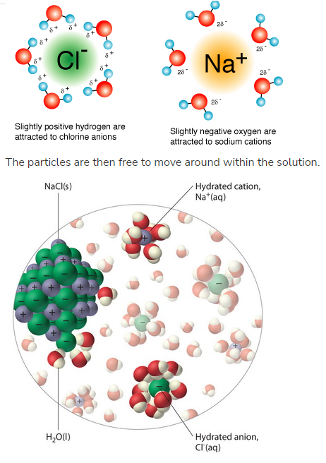 <ul><li><p>Ionic compounds break up into individual ions</p><ul><li><p>the hydrogen bonds are stronger than the ionic bonds, thus they break them apart </p></li><li><p>Lots of H<sub>2</sub>O molecules surround the ions</p></li></ul></li><li><p>Polar molecules DISSOLVE in water/polar solvent</p><ul><li><p>the covalent bonds are stronger than the hydrogen bonds, so the polar molecules will still stay in tact</p></li><li><p>The molecule WILL NOT be broken down into its individual atoms</p></li></ul></li></ul><p></p>