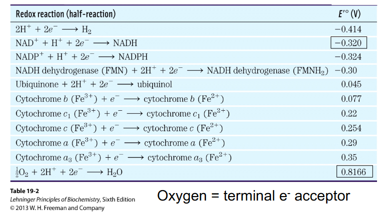<p>Electrons flow from more negative to more positive E'</p>