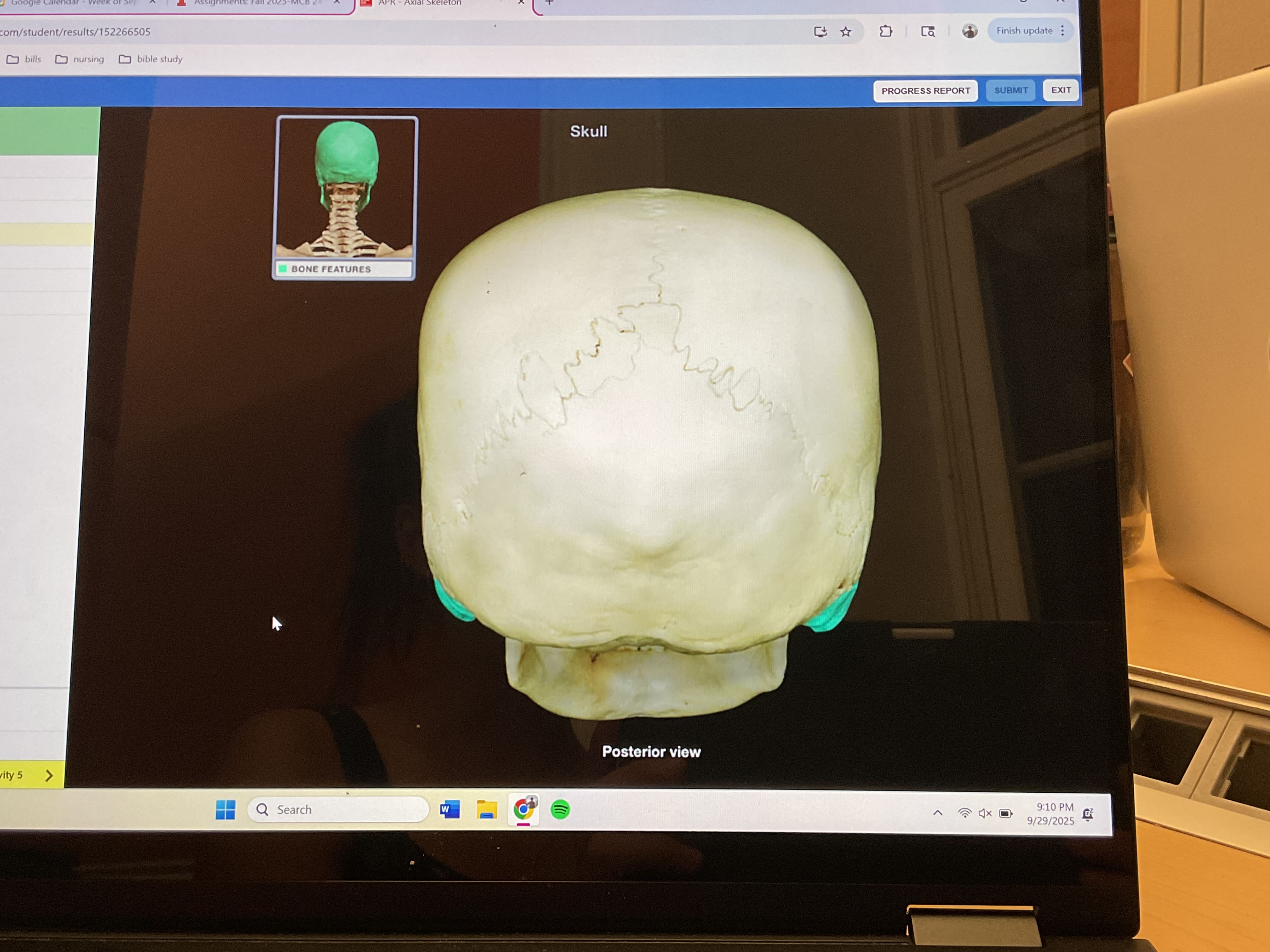 <p>Mastoid process</p>
