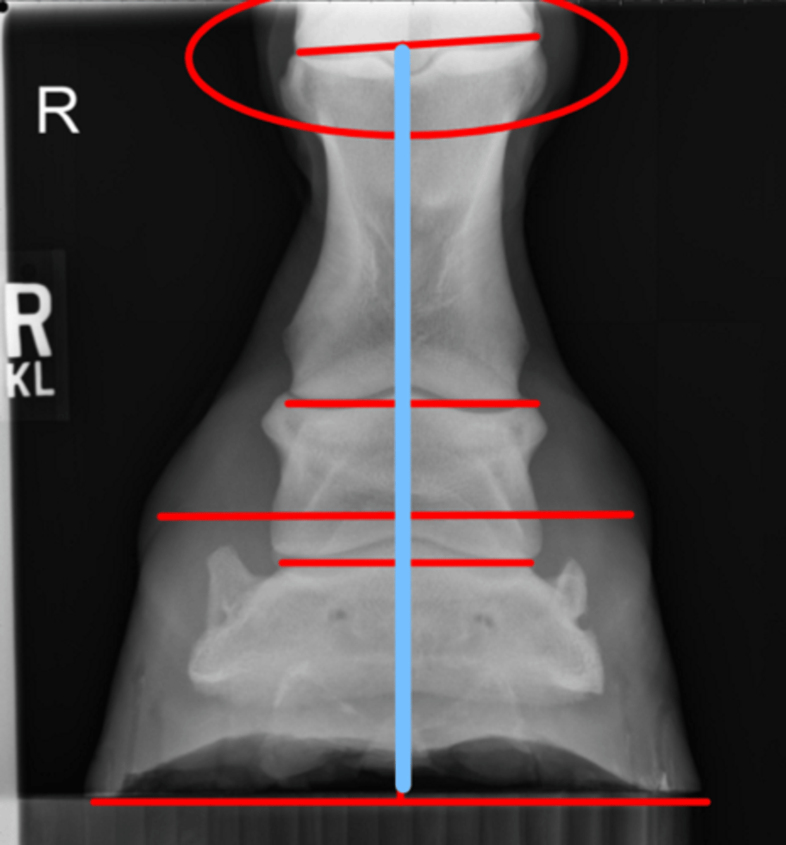 <p>What measurement is this?</p>