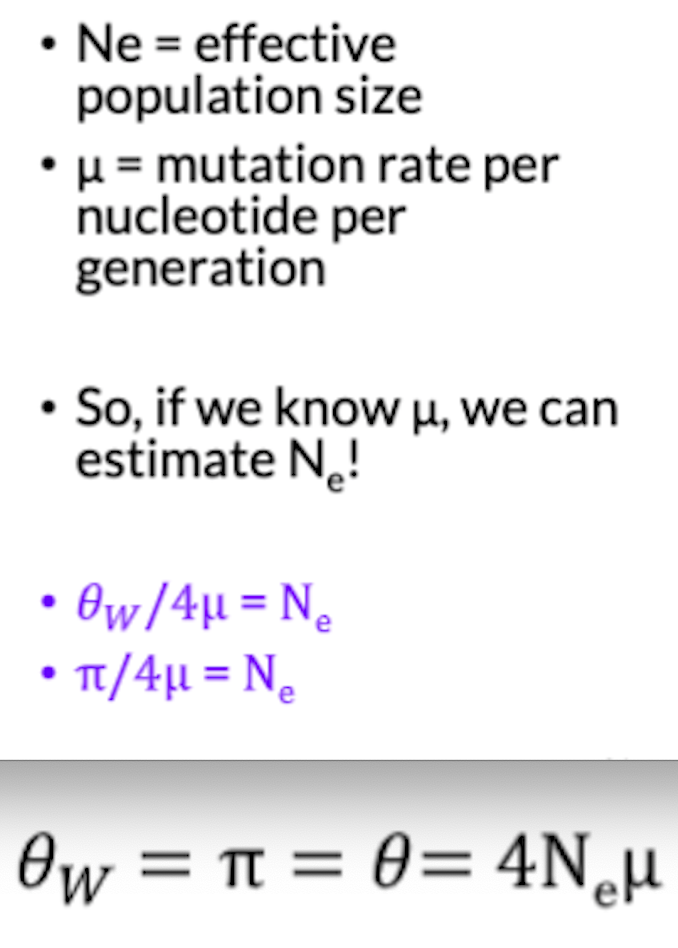 at equilibrium between drift and selection, both π and θ are expected to be equal to the “population scaled mutation rate”