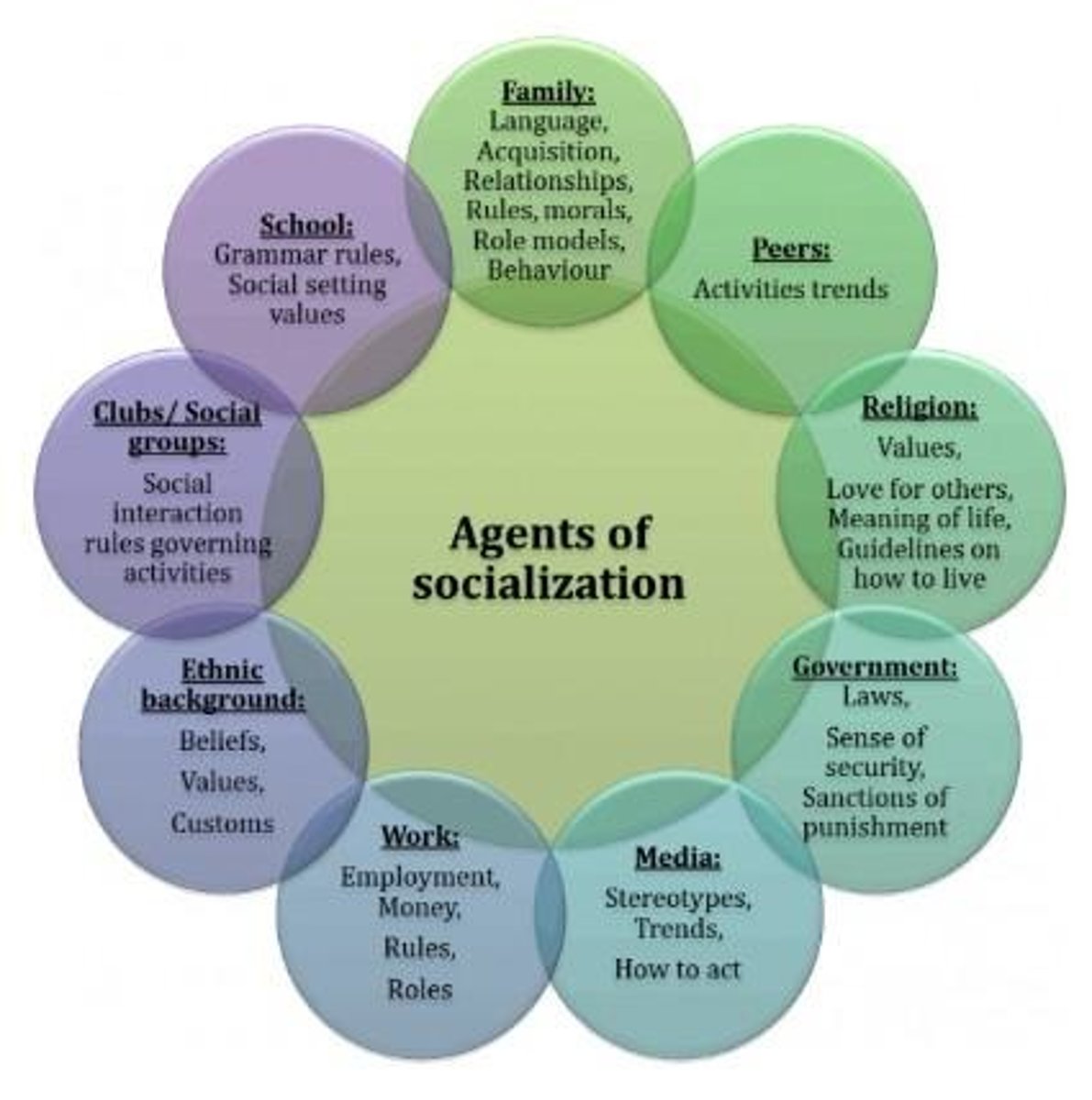 <p>Family, school, peers, media, neighborhood, workplace, religion, social clubs, and ethnic groups.</p>