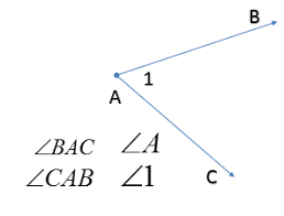 A figure formed by two rays with a common endpoint