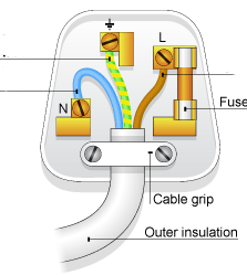 <p>What is the name of the wire on the left of a plug ?</p>