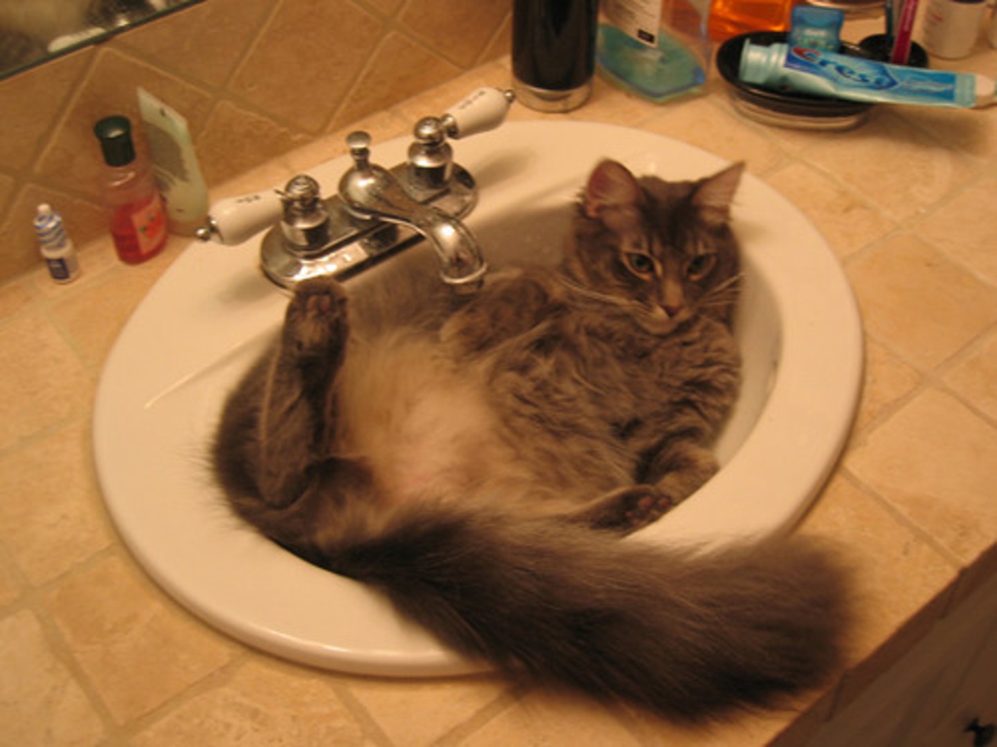 <p>sink</p>