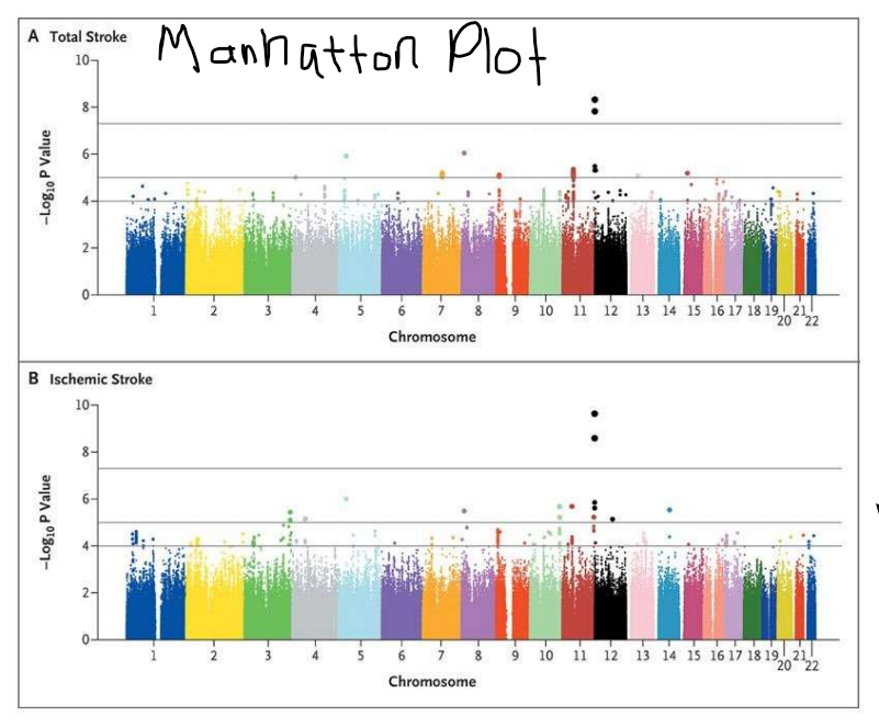- Uses pedigree and linkage using SNP haplotypes to identify 
- Manhattan plot shows genomic regions associated with a trait 
- Autism and height associated with loci---> complex traits---> can lead to therapies to help 