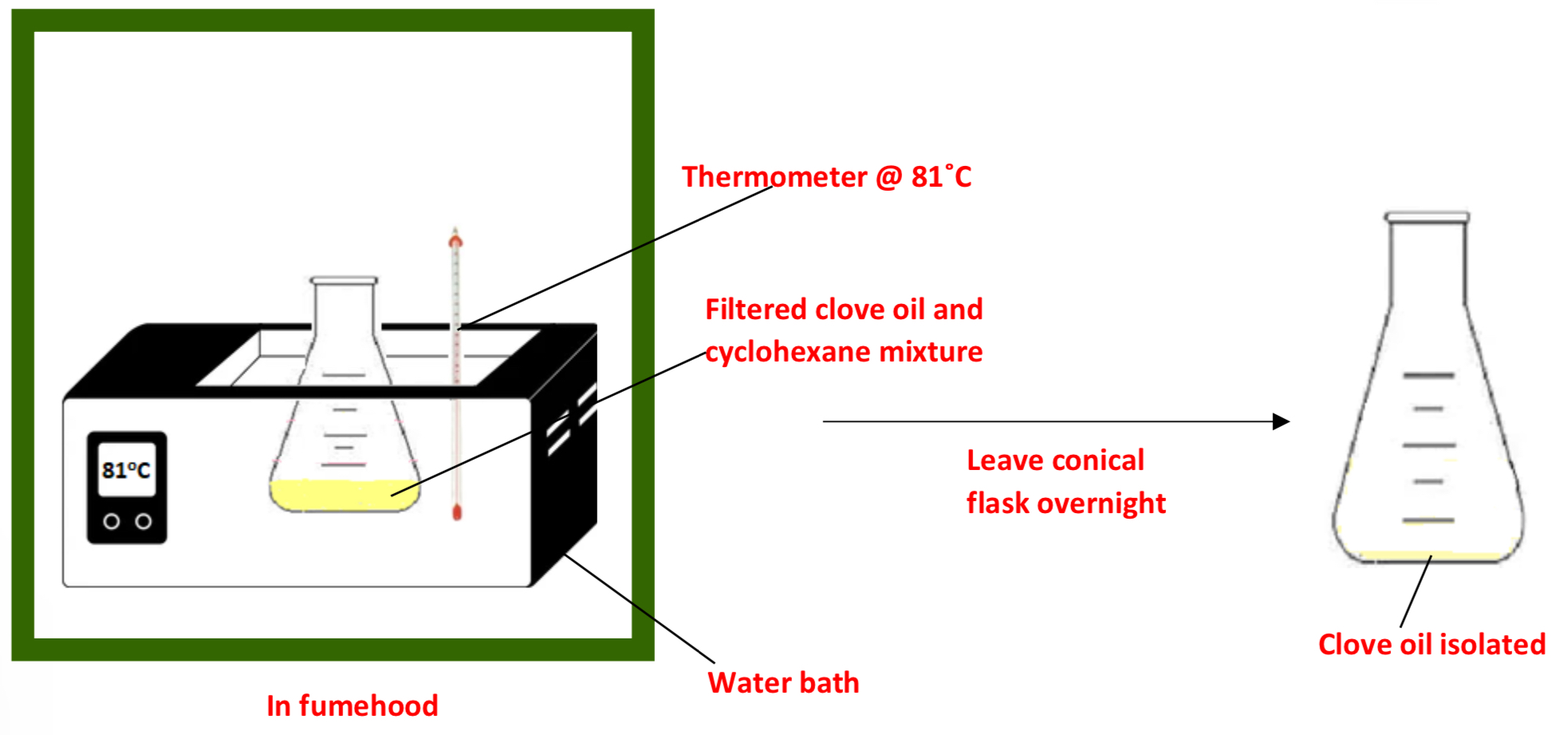 <p>➢ Place the <strong>clove oil/cyclohexane</strong> mixture <strong>in a water bath</strong> in a <strong>fumehood at 81˚C</strong> and <strong>boil the cyclohexane</strong> off to leave the clove oil isolated</p><p>➢ <strong>Leave</strong> the conical flask in the fumehood <strong>overnight</strong> to ensure all cyclohexane has evaporated</p>