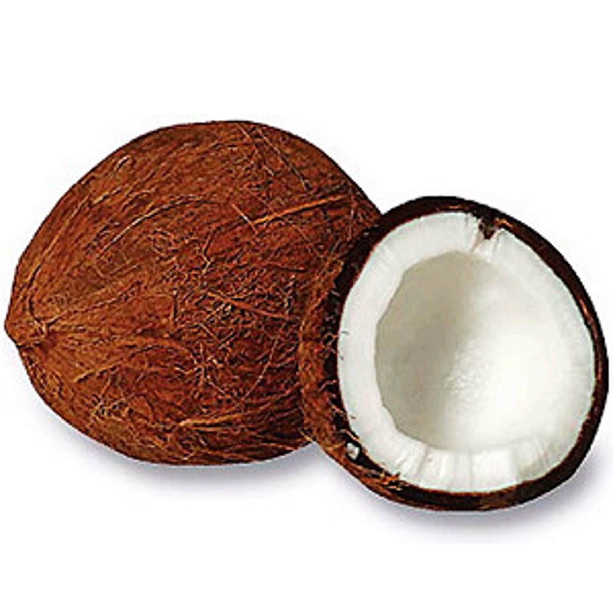 <p>yēzi coconut</p>