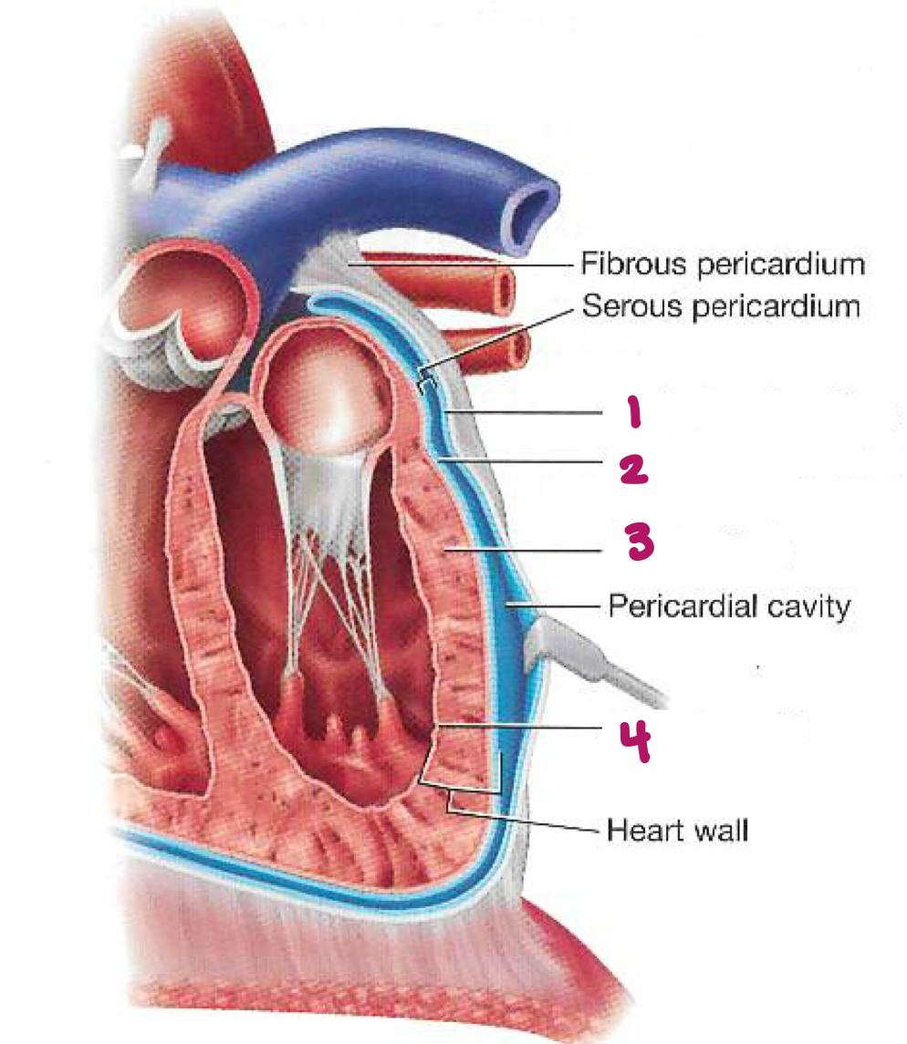 <p>Label figure 3.</p>