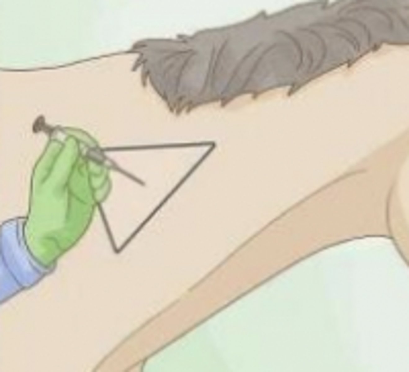 <p>what is this image showing ?</p>