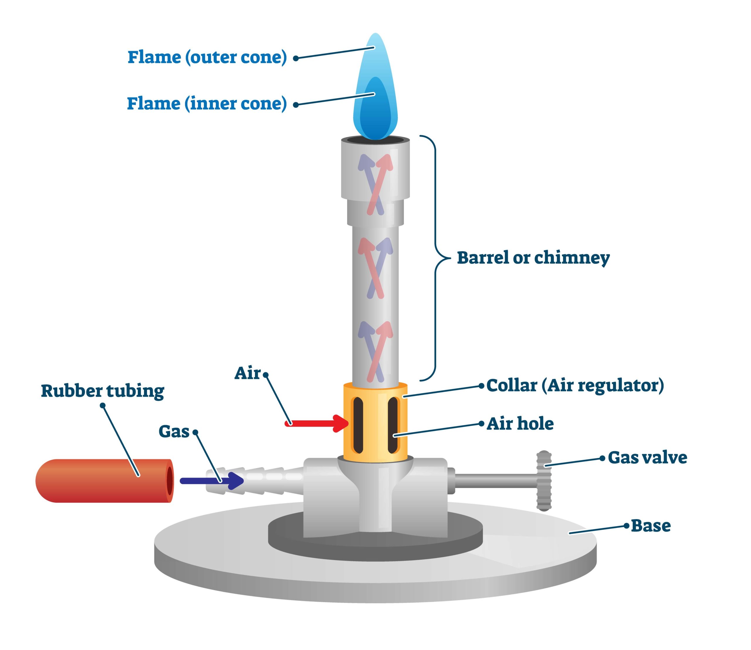 <p>is one of the most important laboratory instruments. It is named after German chemist <em>Robert Wilhelm Eberhard Bunsen</em>. It is a <strong>gas burner</strong> that produces a single open gas flame. A number of chemical reactions take place in the presence of fire. it acts as a source of heat to perform such experiments and reactions. It is also used to perform physical phenomena such as heating, boiling, melting, sterilization, and combustion. Gases such as liquified petroleum gas, propane, butane, natural gas, etc., can be used as fuel for the __________.</p>