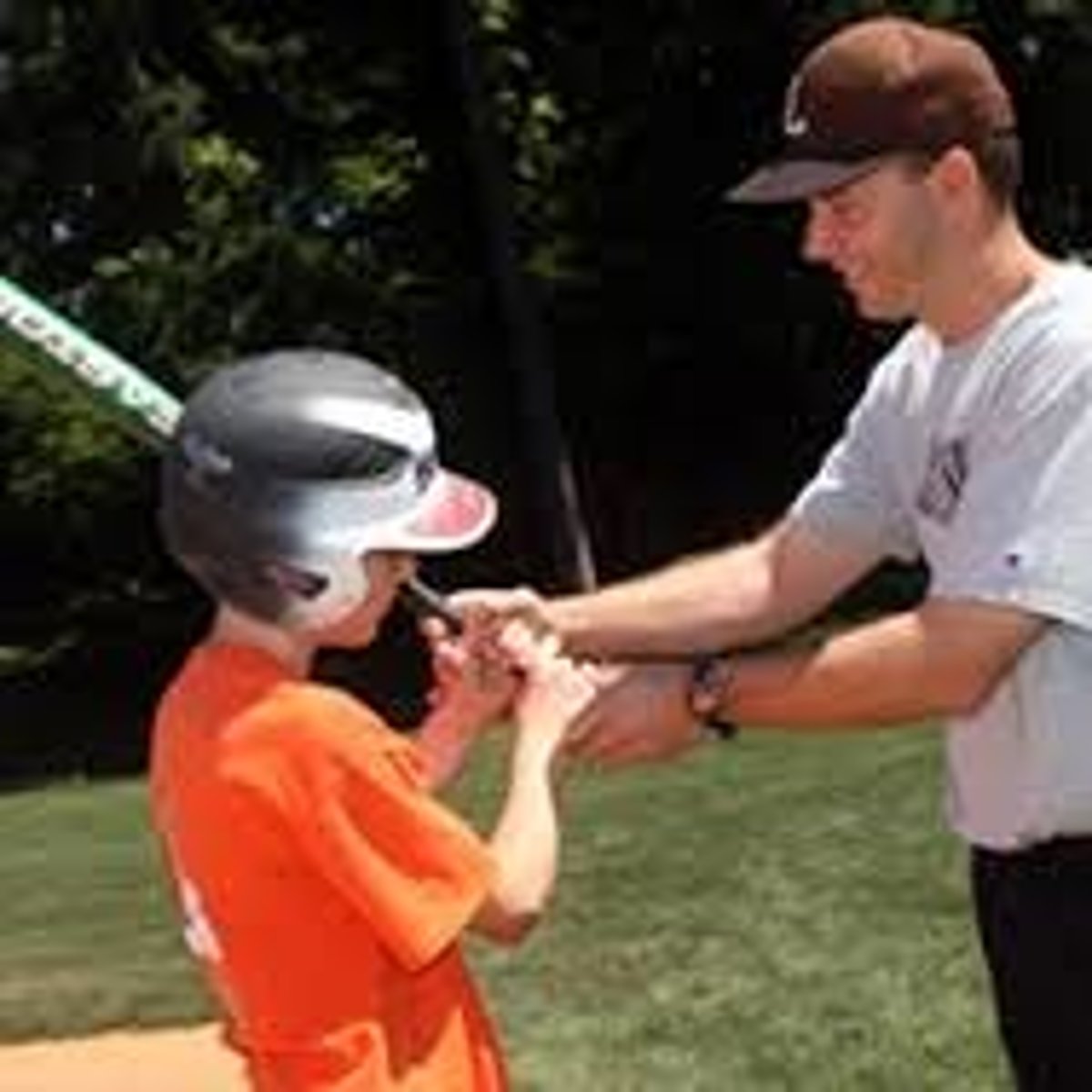 <p>To show; to explain something in clear terms</p>