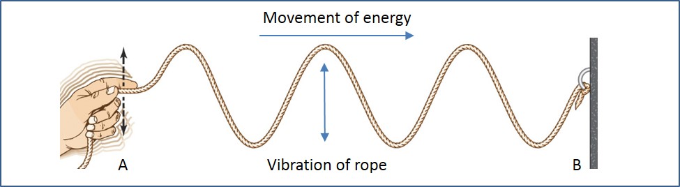 <p>direction of vibration is perpendicular to the direction of the wave</p>