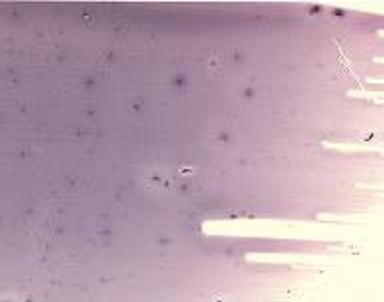 <p>What is this?</p>