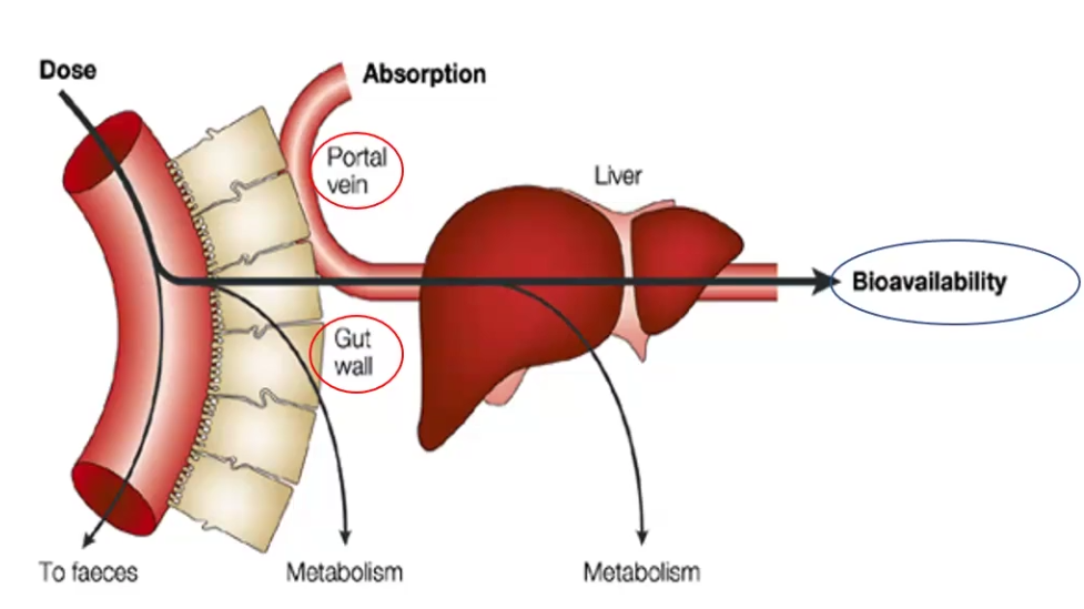 <p>Process through which ORAL drugs lose most of their bioavailability due to pre-systemic metabolism by the gut wall or liver</p>
