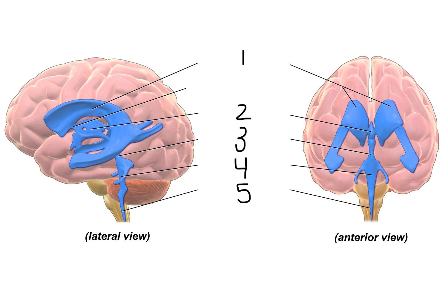 <p>2</p>