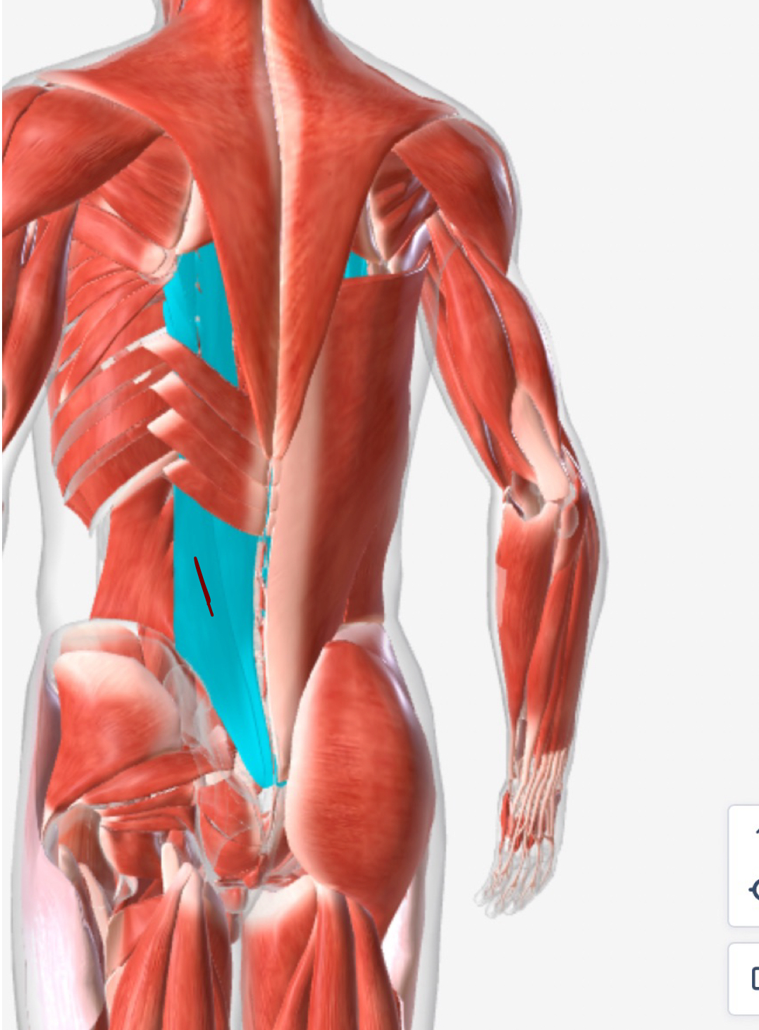 <p>1</p>