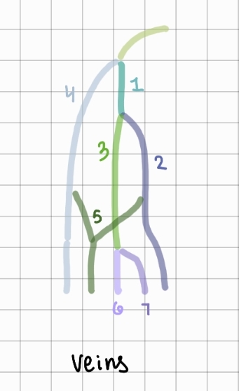 <p>2</p>