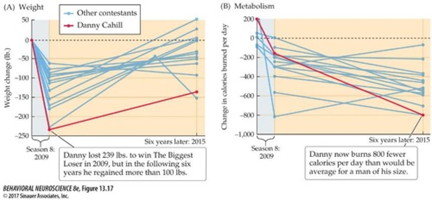 <p>13 out of 14 contestants regained significant weight over the following 6 years, with metabolic suppression persisting and even increasing over time.</p>